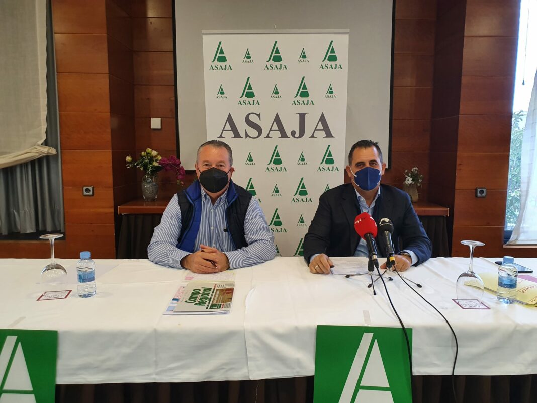 WhatsApp Image 2021-12-20 at 14.29.01