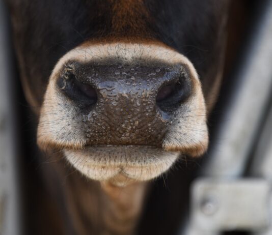 ASAJA valora la entrada en vigor de la Ley de Cadena Alimentaria y exige al Gobierno la máxima diligencia en su cumplimiento