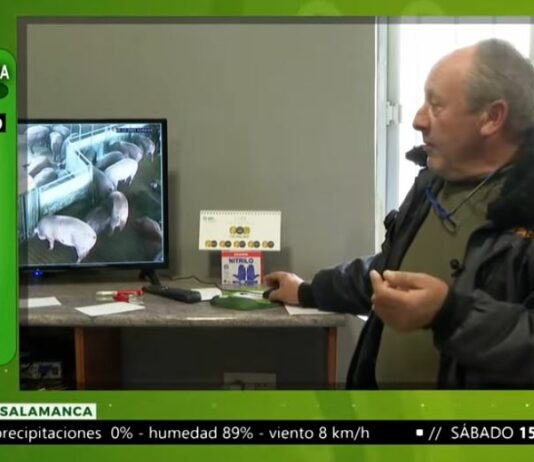 Campo Salmantino del 10 de enero de 2022