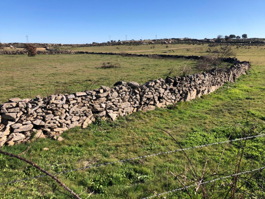 Situación actual de la zona calcinada en San Felices de los Gallegos en agosto de 2021.