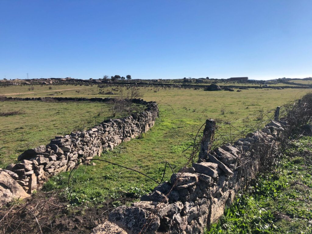 Situación actual de la zona de San felices de los Gallegos donde se produjo el incendio en agosto de 2021.