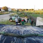 La solicitud de las ayudas al Plan Agricultura y Ganadería Joven se pueden solicitar hasta el 15 de junio