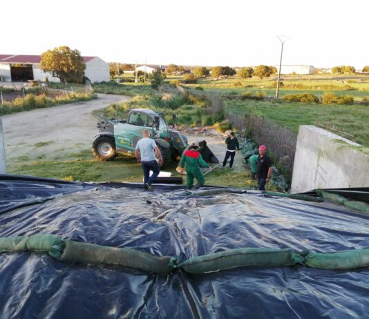 La solicitud de las ayudas al Plan Agricultura y Ganadería Joven se pueden solicitar hasta el 15 de junio