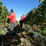 Subida del Salario Mínimo Interprofesional a 1.000 euros