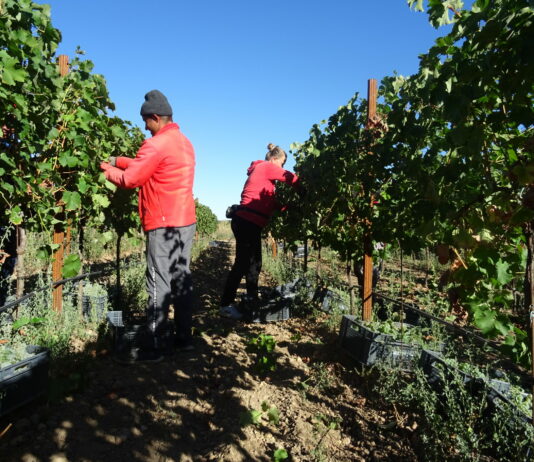 Subida del Salario Mínimo Interprofesional a 1.000 euros