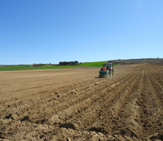 Abierto el plazo para acogerse a las ayudas de La Diputación a la creación o ampliación de personal de empresas