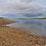 Enero de 2022: el mes más seco desde 1993 y las reservas de agua muy alejadas de las del año pasado