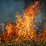 Continúa hasta el 24 de febrero la declaración de peligro medio de incendios forestales