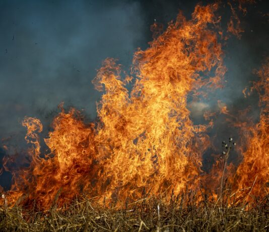 Continúa hasta el 24 de febrero la declaración de peligro medio de incendios forestales