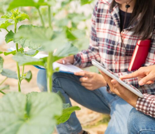 Las empresas lideradas por mujeres podrán solicitar hasta el 19 de abril las ayudas a nuevos proyectos de investigación