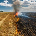 Suspendidas todas las autorizaciones de quemas hasta nuevo aviso