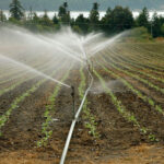 El Ministerio de Agricultura Pesca y Alimentación convoca la Mesa de la Sequía para el 4 de marzo