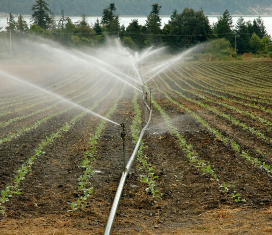 El Ministerio de Agricultura Pesca y Alimentación convoca la Mesa de la Sequía para el 4 de marzo
