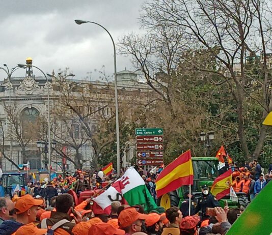 Más de 3.000 salmantinos acudieron a la manifestación del 20M en Madrid