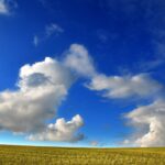 Castilla y León efectúa el pago correspondiente a la liquidación de las ayudas por superficie de la PAC 2021 a 61.265 agricultores y ganaderos