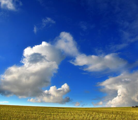 Castilla y León efectúa el pago correspondiente a la liquidación de las ayudas por superficie de la PAC 2021 a 61.265 agricultores y ganaderos