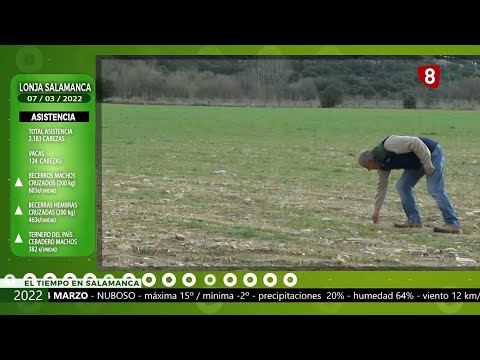 Campo Salmantino del 7 marzo de 2022