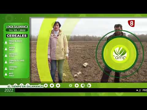 Campo Salmantino del 14 de marzo de 2022