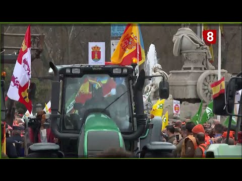 Campo Salmantino del 21 de marzo de 2022