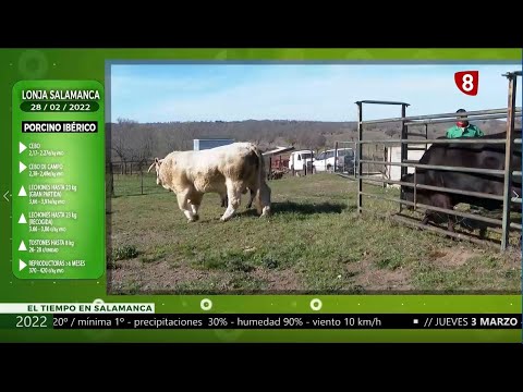 Campo Salmantino del 28 de febrero de 2022