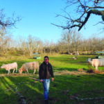 Europa olvida lo importante