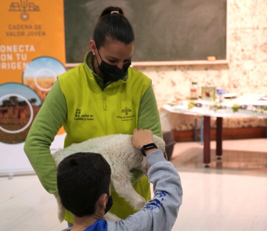 Arranca el plan ‘Cadena de Valor Joven’, para mejorar la imagen del sector entre alumnos de ESO y bachillerato