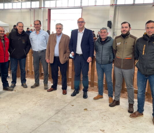 El Salón del Vacuno de la Diputación de Salamanca reunió 242 ejemplares de seis razas