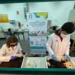 Insectos, lombrices y enzimas se combinan para combatir la contaminación por plásticos