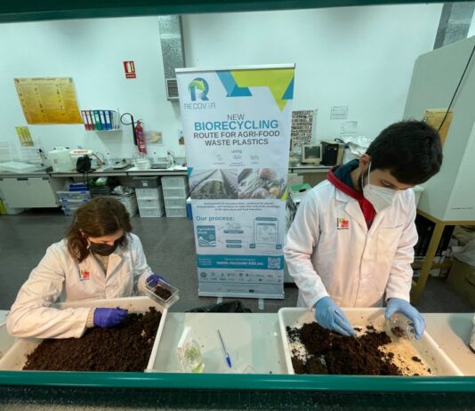 Insectos, lombrices y enzimas se combinan para combatir la contaminación por plásticos