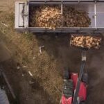 La Unión Europea da por extinguido el foco de influenza aviar de alta patogenicidad detectado en Íscar (Valladolid)