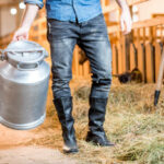 Asociaciones y cooperativas podrán pedir las ayudas a control lechero de Diputación hasta el 11 de mayo