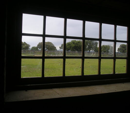 Ampliado hasta el 16 de mayo el plazo de las ayudas a mejora de estructuras y modernización de explotaciones