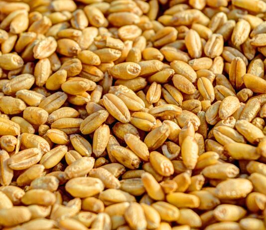 El Gobierno acuerda un incremento extraordinario del apoyo del estado a la contratación de seguros agrarios