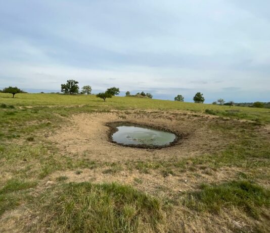 ASAJA Salamanca pide medidas urgentes para garantizar el suministro de agua a la ganadería extensiva Charca, en la provincia salmantina.