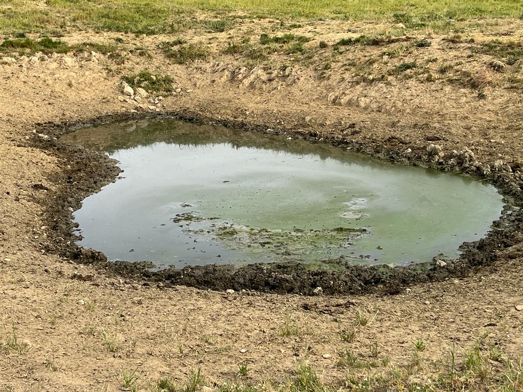 Charca, en el oeste salmantino. FOTO: ASAJA Salamanca.