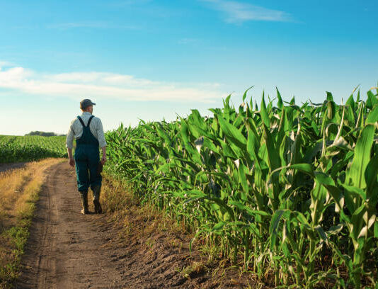 La prudencia en el gasto determina la elección de cultivos de los agricultores de Castilla y León