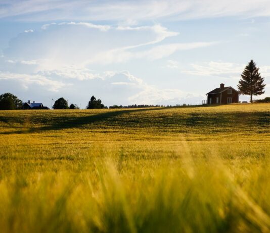 Abierto el plazo de solicitud de medidas de apoyo para préstamos ICO y para avales de SAECA