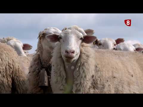 Campo Salmantino del 23 de mayo de 2022