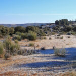 Se amplía hasta el 8 de mayo la campaña de autorizaciones de quema de matorral, pastos y restos agrícolas y forestales