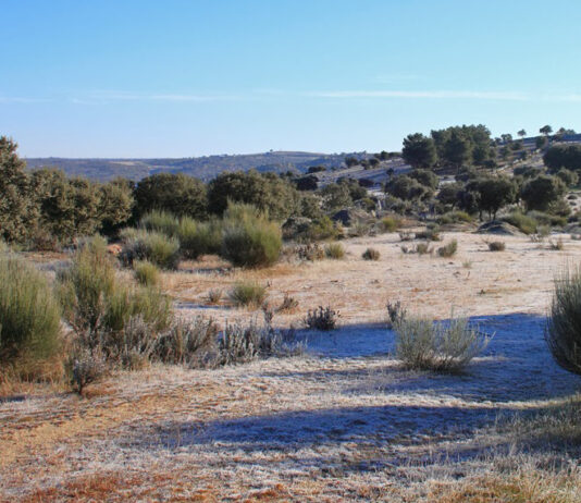 Se amplía hasta el 8 de mayo la campaña de autorizaciones de quema de matorral, pastos y restos agrícolas y forestales