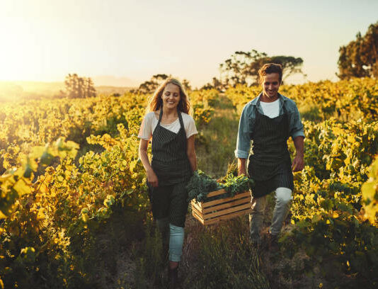El Miteco y la Usal firman un convenio para que los estudiantes hagan prácticas en el medio rural