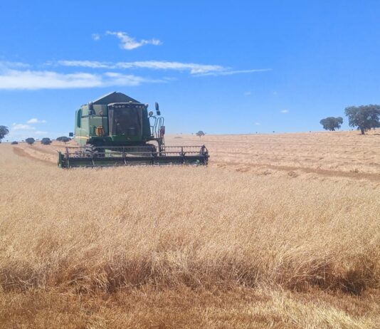 ASAJA pide a la Consejería que mueva ficha y aporte fondos propios en ayudas al campo por el incremento de costes de producción por la guerra en Ucrania