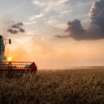 Cómo evitar los incendios forestales por cosechadora