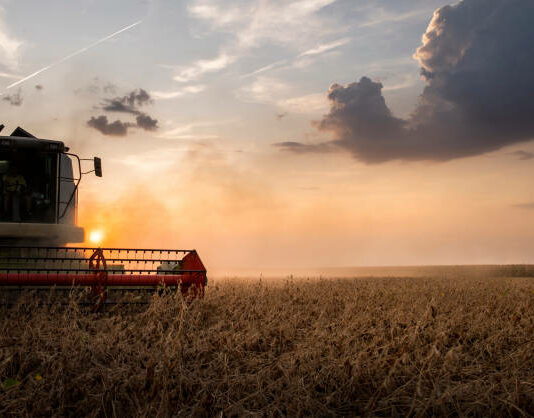 Cómo evitar los incendios forestales por cosechadora