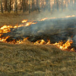 Se adelanta la época de peligro alto de incendios forestales y abarca desde el 27 de junio al 30 de septiembre