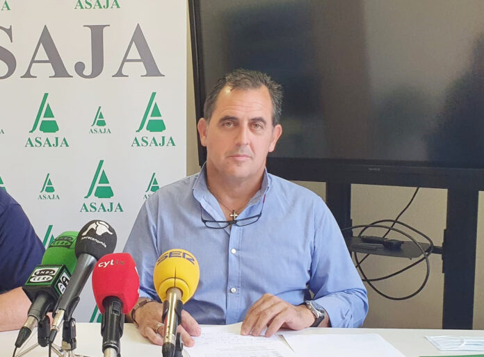 Juan Luis Delgado Egido, pte ASAJA Salamanca y vice pte ASAJA Nacional. | FOTO: VGA