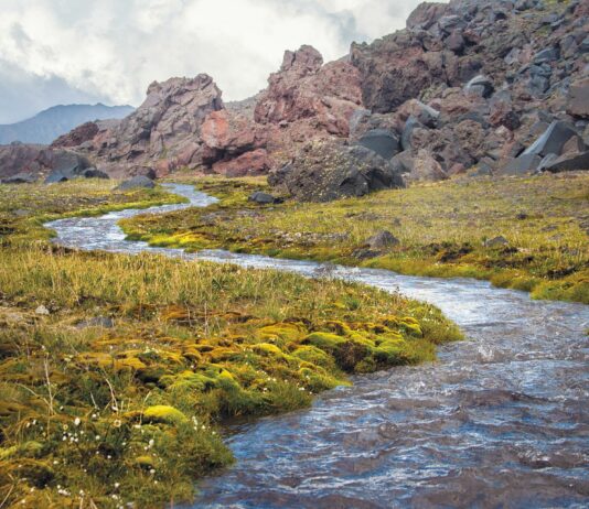 La Diputación convoca las subvenciones para la limpieza de cauces urbanos 2022