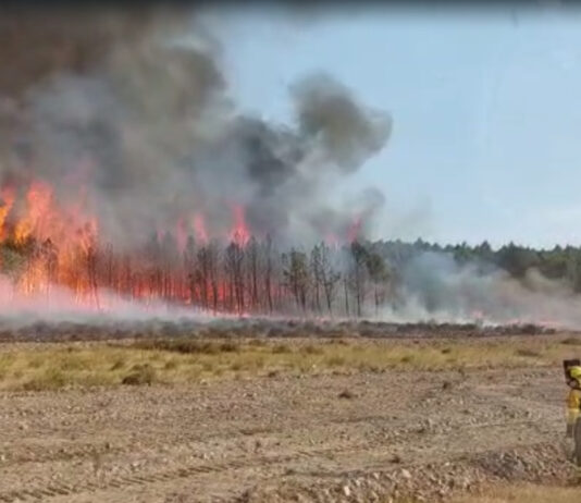 La Junta declara alarma por riesgo de incendios forestales por causas meteorológicas del 20 al 24 de julio en toda la comunidad
