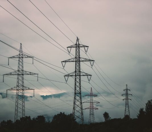 La Junta publica un manual para las correcciones del tendido eléctrico que ponga en peligro a la avifauna tendido eléctrico