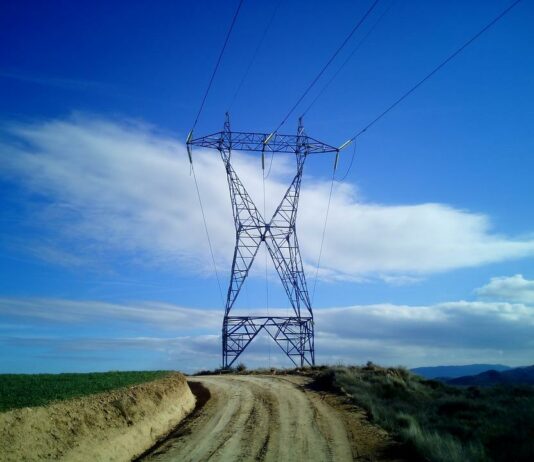 La CDH invierte 2 millones de euros para reducir la mortalidad por electrocución en aves en los tendidos eléctricos